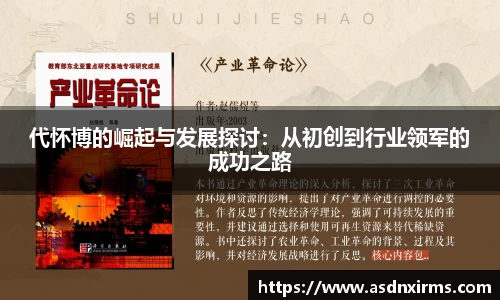 代怀博的崛起与发展探讨：从初创到行业领军的成功之路