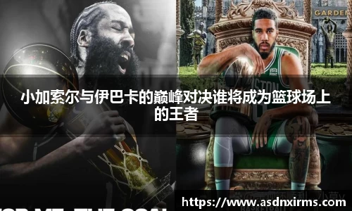 三亿体育